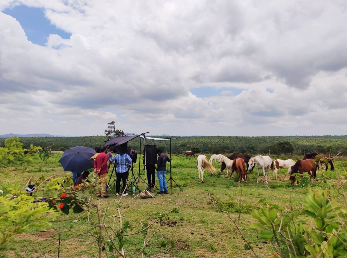 Outdoor location shoot with horses